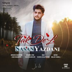 دانلود آهنگ ساسان یزدانی تک دل